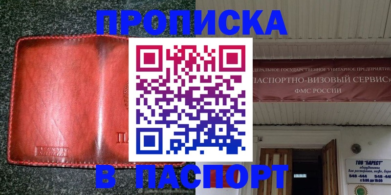 временная прописка в Палласовке
